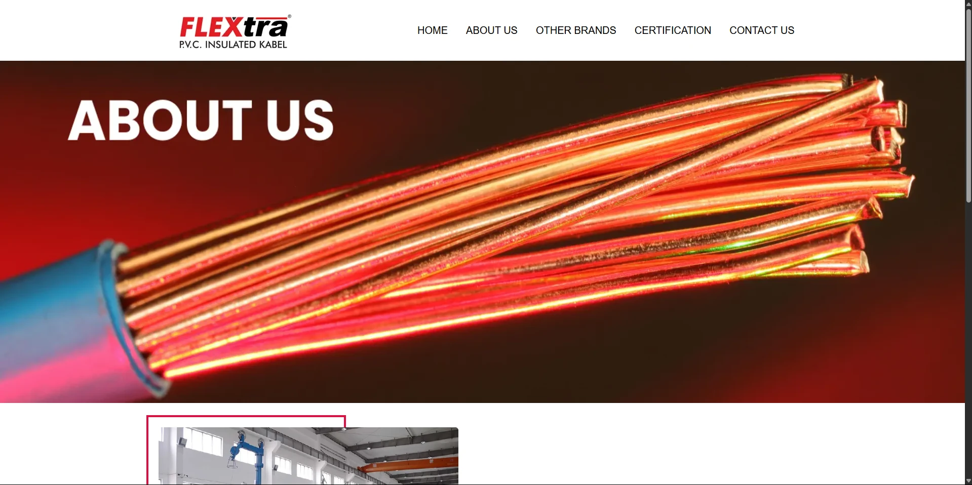 Flextra Cables — Arpit Kumar Web Project Preview