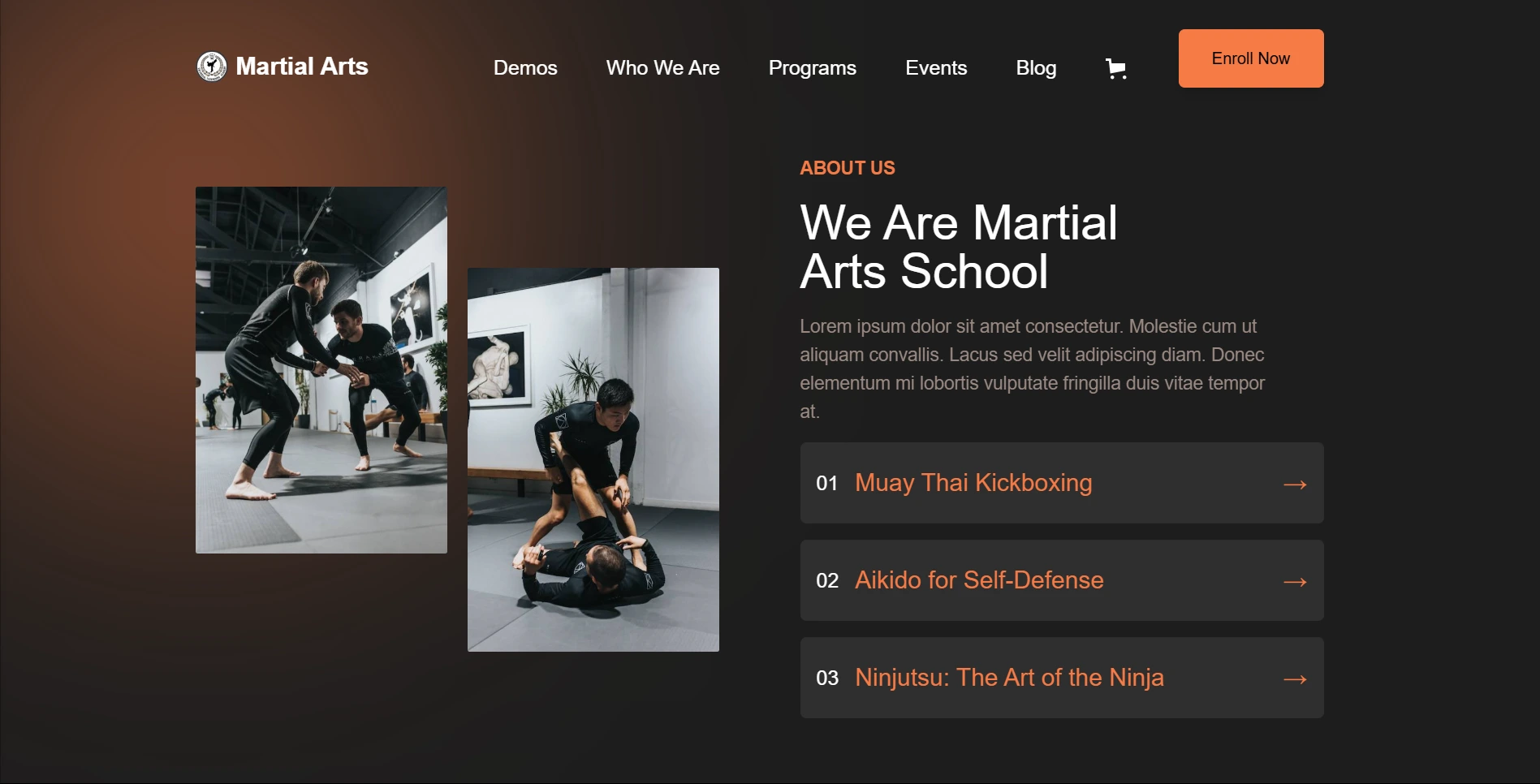 Universal Taekwondo Academy — Arpit Kumar Web Project Preview